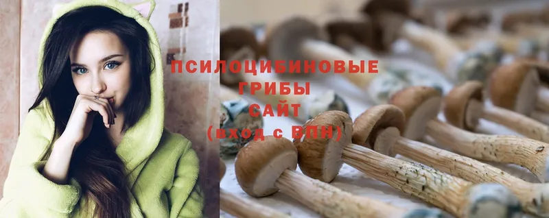 MEGA ссылка  Шлиссельбург  Галлюциногенные грибы Psilocybe 